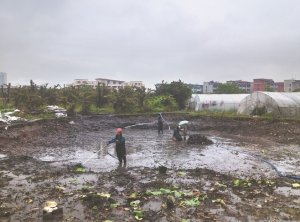 菏泽河道鱼塘清淤